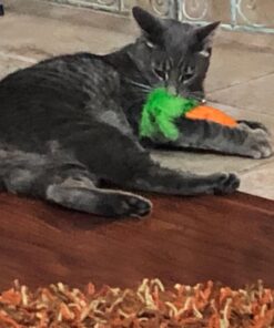 OurPets 100-Percent North American Catnip Filled Carrot Cat Toy 24 Karat OurPets 100-Percent Premium North- American Grown Cosmic Catnip Cat Toy 49 71i0l22cnxL