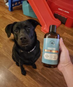 Rocco & Roxie Dog Shampoo and Conditioner - Soothe Oatmeal Shampoo for Itch Relief, Calm Hypoallergenic Shampoo for Sensitive Skin, and Shine Argan Oil Pet Wash - Puppy Bathing Supplies 16 oz 31 71i5sHcwhoL
