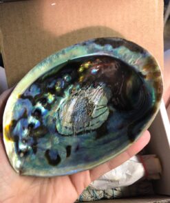 Smudge Kit - White Sage, Palo Santo, Abalone Shell, Smudging Feather for Healing, Purifying, Meditating & Incense (Essentials Plus) 43 71i6nOpbH3L