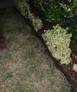 Signature Garden Premium Stainless Solar Garden Lights - Super-Bright 15 Lumens - Perfect Neutral Design; Makes Garden Pathways & Beds Look Great - Easy NO-Wire Installation; Water-Resistant Stainless Steel Silver 6-pack 42 71i8NT3Ni1L