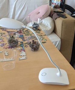 DEEPLITE LED Desk Lamp with Flexible Gooseneck 3 Level Brightness, Battery Operated Table Lamp 5W Touch Control,Compact Portable lamp for Dorm Study Office Bedroom,Eye-Caring and Energy Saving White 1 Pack 53 71i8Q7OjpsL