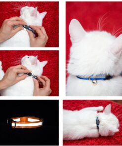 Upgraded Version - Reflective Cat Collar with Bell, Set of 6, Solid & Safe Collars for Cats, Nylon, Mixed Colors, Pet Collar, Breakaway Cat Collar Charms, Free Replacement 25 71i8zNg4jAS 1