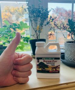 Dyna-Gro BON-008 8 oz Bonsai-Pro Liquid Plant Food, Yellow 20 71iAXnKcYaL