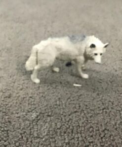 Safari Ltd. White Wolf Figurine - Realistic, Hand-Painted 3.6" Model Figure - Educational Toy for Boys, Girls & Kids Ages 3+ 17 71iBUqlxcIL