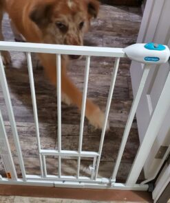 Carlson Extra Wide Walk Through Pet Gate with Small Pet Door, Includes 4-Inch Extension Kit, Pressure Mount Kit and Wall Mount Kit,White 47 71iC6GkK1aL