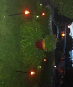 Aityvert Upgraded Larger Solar Torch Lights, Waterproof Outdoor Dancing Flames Lights, Flickering Flames Garden Lights, Landscape Decoration Pathway Patio Lights 43" 96 LED (4 Pack) Pack of 4 26 71iCCp8ttcL