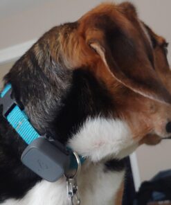 Whistle 3 / GPS Pet Tracker & Activity Monitor / Grey 57 71iFhhnM3L