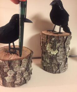 PREXTEX 6pcs Black-Feathered Small Crows Halloween Decorations | Outdoor&Indoor Decor | Fake Bird, Halloween Birds, Scary Ravens, Decorative Crows, Raven | Home, Fence, Porch, Tree, Party Decoration 46 71iIAzM5mgL