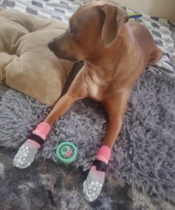 Paw Nectar Dog Paw Balm - Heals, Repairs & Restores Dry, Cracked & Damaged Paws - 100% Organic & Natural Cream Butter, Wax, Moisturizer & Protection for Dog Feet & Foot Pads - Effective & Safe - 2 Oz 34 71iONn1xCL