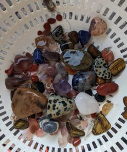 NATIONAL GEOGRAPHIC Rock Tumbler Kit – Hobby Edition Includes Rough Gemstones, and 4 Polishing Grits, Great STEM Science Kit for Geology Enthusiasts, Rock Polisher for Kids and Adults Hobby Kit 39 71iPTMIrDPL