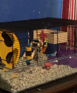 Kaytee Perfect Chew Hamster 17 71iQHURSH7L