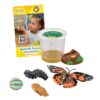 Insect Lore 5 Live Caterpillars Cup of Caterpillars Butterfly Kit Refill - Plus Butterfly Life Cycle Stages Toy Figurines - Shipped Now 28 71iQb5guzcL