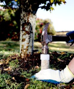 Jobe’s, 01660, Fertilizer Spikes, Tree & Shrubs, Includes 15 Spikes, 12 ounces, Brown 30 71iQw6NhMNL