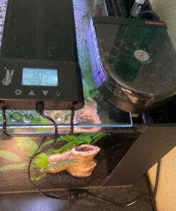 Fish Mate F14 Automatic Fish Feeder for Aquarium or Fish Tank for Vacation or Daily Use - Sits on Hood of Tank or Will Clip to Side with Included Clamps - Serves up to 14 Meals 45 71iRq7dZ 8L