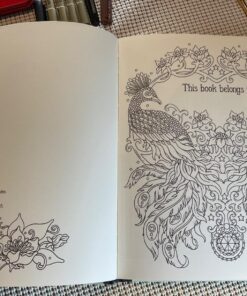 Jewelry Box Coloring Book: Published in Sweden as "Smyckeskrinet" 37 71iTt5GpvYL