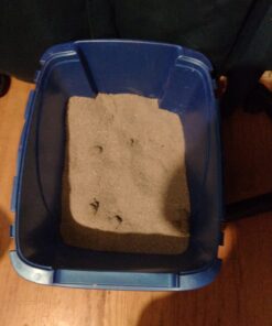 Dr. Elsey's Premium Clumping Cat Litter | Ultra Scented | 99.9% Dust-Free, Low Tracking, Hard Clumping, Superior Odor Control, Natural Ingredients & Moisture-Activated Scent 40 Lb / 18.14 Kg 27 71iXJiLOuTL