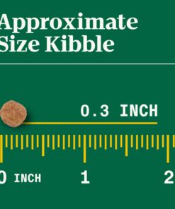 NUTRO NATURAL CHOICE Small Bites Adult Dry Dog Food, Lamb & Brown Rice Recipe Dog Kibble, 30 lb. Bag 29 71icypm8SL