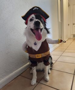 NACOCO Pet Dog Costume Pirates of The Caribbean Style (Large) L Brown 34 71idFNpo8L