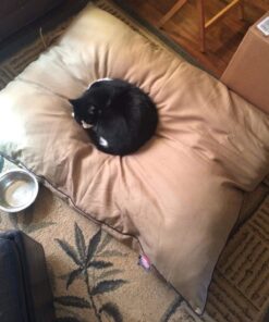 Majestic Pet Rectangle Large Dog Bed Washable – Non Slip Comfy Pet Bed – Dog Crate Bed Super Value Pillow Dog Bed – Dog Kennel Bed for Sleeping - Dog Bed Large Breed 46 x 35 Inch – Solid Khaki 46.0"L x 35.0"W x 7.0"Th 33 71idh3tkoML