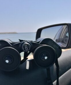 Bushnell Falcon 133410 Binoculars with Case (Black, 7x35 mm) 78 71ieZqlnyoL