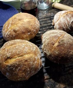 The New Artisan Bread in Five Minutes a Day: The Discovery That Revolutionizes Home Baking 58 71igwNQ9lL