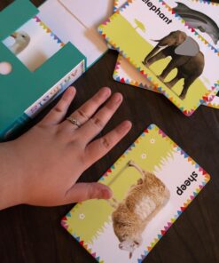 My First Touch and Feel Picture Cards: Animals (My First Board Books) 51 71ij3LBcNIL