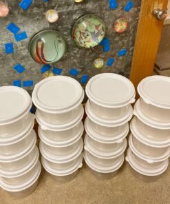 Greenco Mini Containers with Lids 20 Pack, 2 oz Containers with Lids - Small Plastic Storage Condiment Containers with Lids - Baby Food Containers, Snacks, Sauces, Candy - Freezer & Dishwasher Safe Square 38 71ikQ7 Xf7L