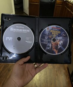 Homeward Bound - The Incredible Journey / Homeward Bound II - Lost In San Francisco DVD February 10, 2008 17 71ikYmCoS4L