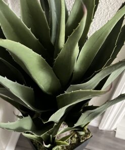 Nearly Natural 30in. Agave Artificial Plant with Black Planter, Green 29 71iloru0VtL
