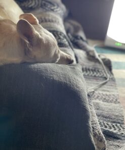 Aura Day Light Lamp, 10,000 Lux of Full Spectrum Bright Light with Adjustable Lux Dial and Timer- 100% UV Free{2 Year Warranty Includes Bulb and Lamp} 51 71imzFl5GiL