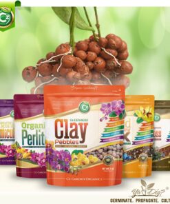 Expanded Clay Pebbles LECA Grow Media for Plants, Orchids, DWC Hydroponics, Aquaponics, Aquaculture Garden Soil Additive Conditioner Amendment Ceramsite Aggregate Cz Garden 2 LBS Cz Expanded Clay Pebbles 35 71io7Pb5EyS