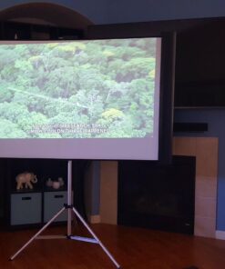 Epson Duet 80-Inch Dual Aspect Ratio Projection Screen 15 71iq9PjuBJL