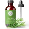 Tea Tree Essential Oil, 4 Fl Oz with Dropper - Undiluted Therapeutic Grade for Your Face, Skin, Hair and Diffuser - 100% Pure Melaleuca Oil for Acne, Toenails - by Pure Body Naturals 4 Fl Oz (Pack of 1) 43 71isDtI8HL
