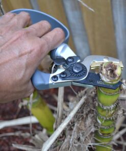 Davaon Pro Anvil Pruning Shears for Gardening - Achieve 30% More with Less Effort with These Premium Garden Pruners, Plant Shears for Razor-Sharp Precision, Hand Pruner with Ergonomic Grip Ergonomic Anvil 32 71isGBXHgCL