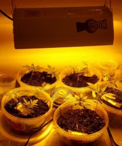 Sun System Grow Lights - Blazer - Double End | Metal Halide / HPS | Reflector - For Hydroponic and Greenhouse Plant Use 17 71isVH8aiL