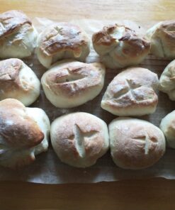 Hoosier Hill Farm Dry Malt (Diastatic) baking Powder 1.5 lb. 34 71iu pB7bhL