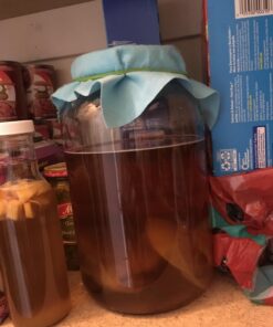 1 Gallon Glass Kombucha Jar - Home Brewing and Fermenting Kit with Cheesecloth Filter, Rubber Band and Plastic Lid - By Kitchentoolz 21 71iuhvobjrL