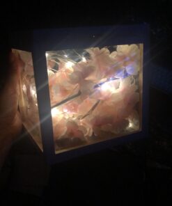 6 Pack Fairy Lights Battery Operated - 7ft 20 LED Waterproof Mini Silver Wire String Lights for Wedding Mason Jars Crafts Shelves Walls Christmas Garlands Party, Warm White 6 Pack 55 71iz178JOdL