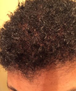 Shea Moisture Coconut & Hibiscus Curl & Style Milk 8 oz 8 Fl Oz (Pack of 1) 47 71izftQyupL