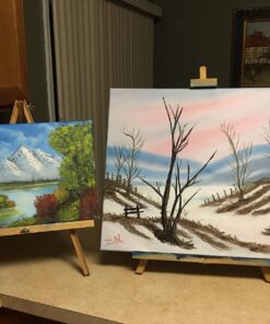 Martin/ F. Weber Bob Ross Master Paint Set 28 71j0nXLCN6L