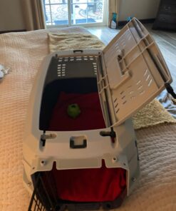 Amazon Basics - 2-Door Top-Load Hard-Sided Dogs, Cats Pet Travel Carrier, Gray & Blue, 22.8"L x 15.0"W x 13.0"H Two-Door Top-Load 93 71j1EhTDZOL 1