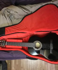 Gator Cases Transit Series Acoustic Guitar Gig Bag; Charcoal Black Exterior (GT-ACOUSTIC-BLK) 38 71j2a44Xd7L