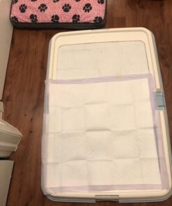 Petphabet 100 Pack Dog Pee Pads 23 by 24 Inches,Lavender Scented Dog Training Pads with Attractant 23 X 24 in 26 71j2onnVPVL