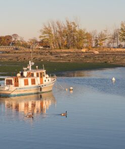 OM SYSTEM OLYMPUS M.Zuiko Digital 40-150mm F4.0-5.6 R Black For Micro Four Thirds System Camera, 3.75x Zoom Lens, Portable Design Standard Packaging 64 71j4m9oNsL