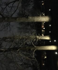 ZUCKEO Low Voltage Landscape Lights LED Landscape Lighting, 5W 12V Garden Pathway Lights Waterproof Warm White Walls Trees Flags Outdoor Landscape Spotlights with Stakes (8 Pack) 66 71j6O7JgarL