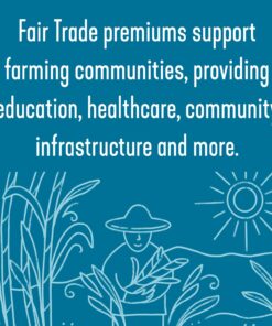 Wholesome Sweeteners, Granulated Amber Sugar, 1.5 lb Organic Turbinado Sugar 1.5 Pound (Pack of 1) 15 71j7RvygRAL