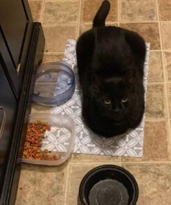 Purina Friskies Gravy Wet Cat Food , Meaty Bits - (24) 5.5 oz. Cans Chicken Dinner In Gravy, Gourmet Grill In Gravy, Beef In Gravy 5.5 Ounce (Pack of 24) 34 71jAEjrQwIL