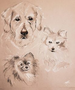 Strathmore Toned Sketch Paper Pad 18"X24"-80lb Toned Gray 24 Sheets -412118 18x24 15 71jCXELJH6L