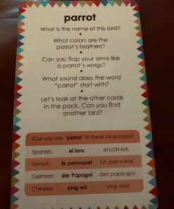 My First Touch and Feel Picture Cards: Animals (My First Board Books) 62 71jE9hFA88L