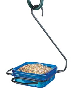 More Birds Dish SeedFeed, 1 Count (Pack of 1) 1 Count (Pack of 1) 30 71jJoCW5CL